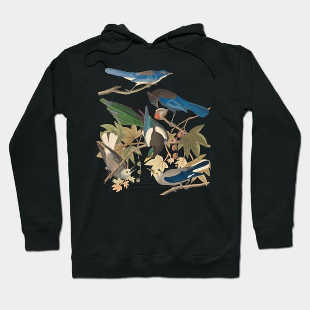 Birds of John James Audubon Hoodie by KeeganCreations